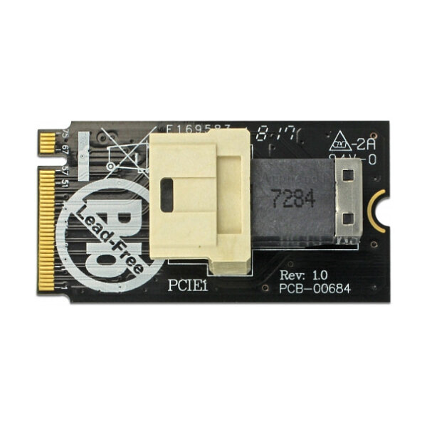 Delock Adapter M.2 Key M > SFF-8643 NVMe horizontal 2242