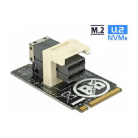 Delock Adapter M.2 Key M > SFF-8643 NVMe horizontal 2242