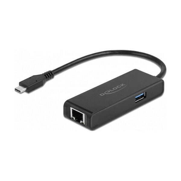Delock USB Type-C™ Adapter zu 2,5 Gigabit LAN mit USB Typ-A Buchse