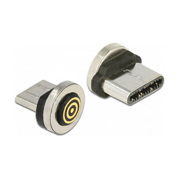Delock Magnetischer Adapter USB Type-C™ Stecker