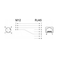 Delock Netzwerkadapter M12 D-kodiert 4 Pin Buchse zu RJ45 Buchse