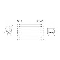 Delock Netzwerkadapter M12 A-kodiert 8 Pin Buchse zu RJ45 Buchse