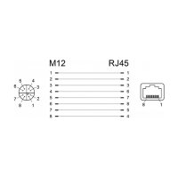 Delock Netzwerkadapter M12 X-kodiert 8 Pin Buchse zu RJ45 Buchse