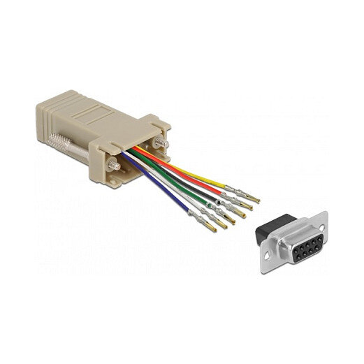 Delock D-Sub 9 Pin Buchse zu RJ12 6P/6C Buchse Montagesatz