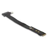Delock M.2 Key M zu U.2 SFF-8639 NVMe Adapter mit 20 cm Kabel