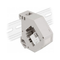 Delock Hutschienenadapter mit Keystone IEC Buchse zu...