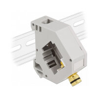 Delock Hutschienenadapter mit Keystone Polklemme zu...