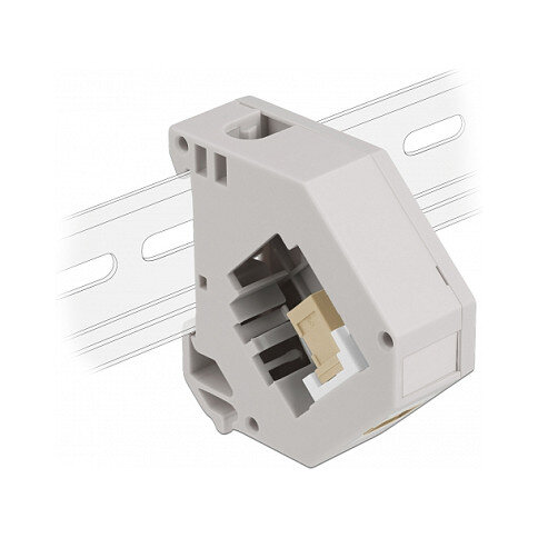 Delock Hutschienenadapter mit Keystone SC Simplex Buchse zu SC Simplex Buchse beige