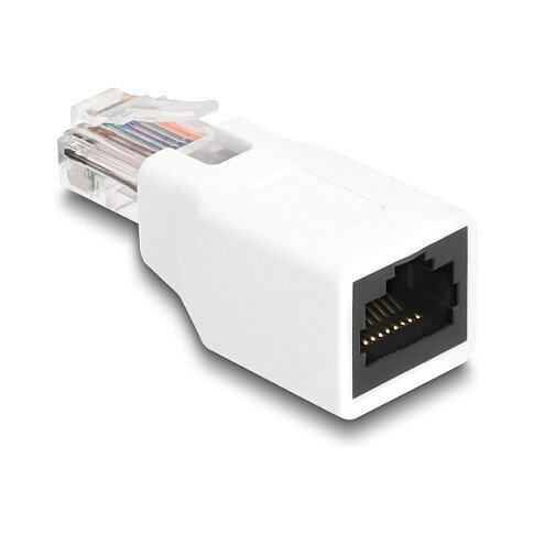 Delock RJ50 Adapter Stecker zu Buchse weiß
