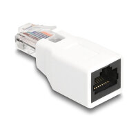 Delock RJ50 Adapter Stecker zu Buchse weiß