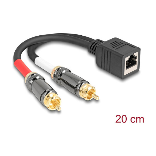 Delock Adapterkabel RJ45 Buchse zu 2 x Cinch Stecker schwarz 20 cm