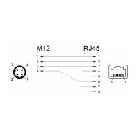 Delock Netzwerkadapter M12 D-kodiert 4 Pin Stecker zu RJ45 Buchse