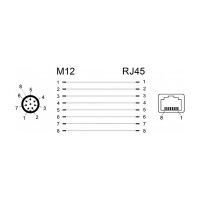 Delock Netzwerkadapter M12 A-kodiert 8 Pin Stecker zu RJ45 Buchse