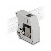 Delock Hutschienenadapter mit Keystone Modul RJ45 Buchse zu RJ45 Buchse Cat.6A