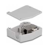 Delock Hutschienenadapter mit Keystone Modul RJ45 Buchse zu RJ45 Buchse Cat.6A