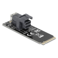 Delock Adapter M.2 Key M zu SFF-8643 NVMe 2260