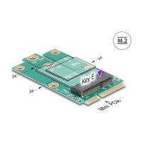 Delock Adapter Mini PCIe Stecker zu M.2 Key E Slot