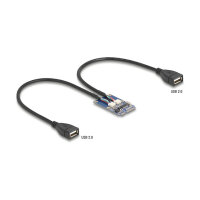 Delock Mini PCIe Adapter full size zu 2 x USB 2.0 Typ-A Buchse 30 cm