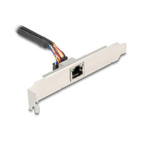 Mini PCIe I/O PCIe full size 1 x RJ45 Gigabit LAN