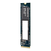 M.2 256GB Gigabyte NVMe V2 M.2 PCI-E