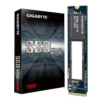 M.2 256GB Gigabyte NVMe V2 M.2 PCI-E