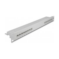 Delock 19? Patchpanel 16 Port Cat.6A 1 HE grau