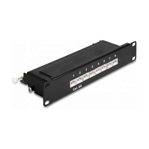 Delock 10? Patchpanel 8 Port Cat.6A 1 HE schwarz