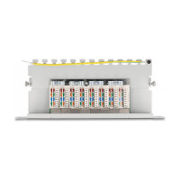 Delock 10? Patchpanel 8 Port Cat.6A 1 HE grau