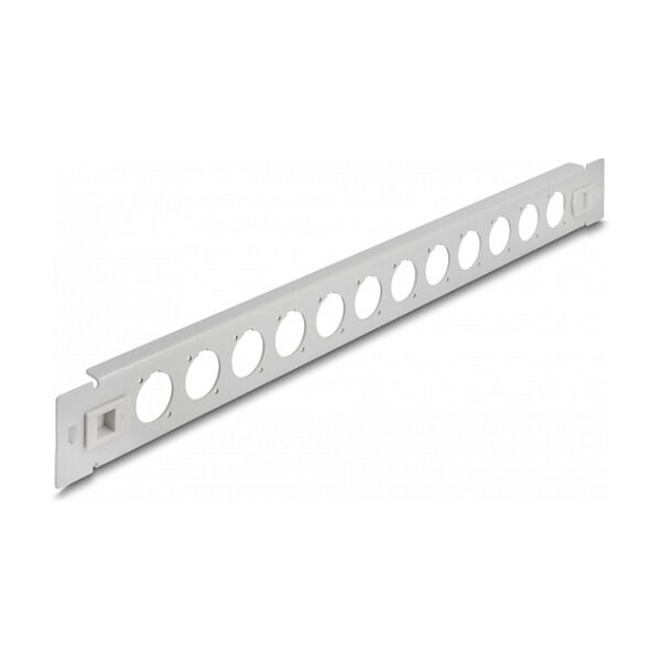 Delock 19? D-Typ Patchpanel 12 Port werkzeugfrei grau