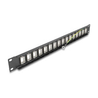 Delock Panel Mount 19" 16 Port 1 HE schwarz