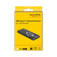 Externes Gehäuse für M.2 SATA SSD mit USB Type-C™ Buchse