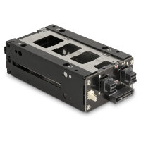 Slim Bay Wechselrahmen für 2 x 2.5? U.2 NVMe SSD