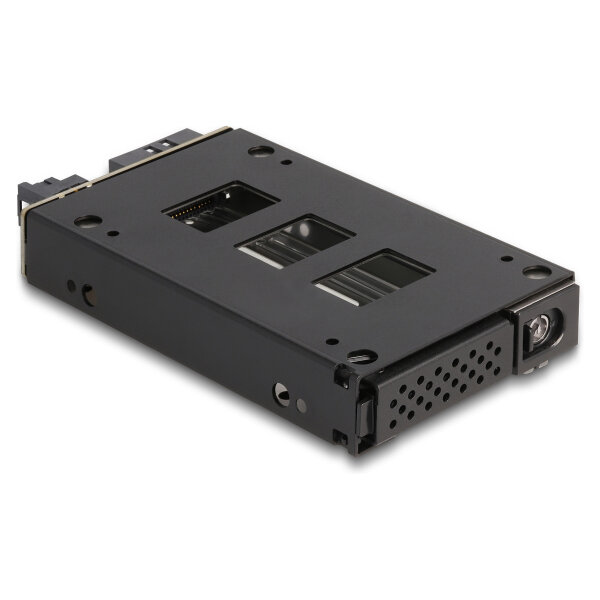 Slim Bay Wechselrahmen für 1 x 2.5? U.2 NVMe SSD