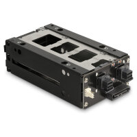 Slim Bay Wechselrahmen für 2 x 2.5? U.2 NVMe SSD mit 5.25? Rahmen