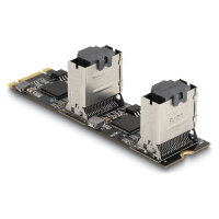 Konverter M.2 2280 Key B+M Stecker zu 8 x SATA