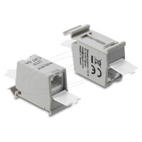 RJ45 Kupplung Cat.6A Dual Buchse zu Buchse für Hutschienen Montage grau