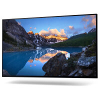 61cm/24 (1920x1080) Dell UltraSharp U2422H 16:9 5ms IPS HDMI DisplayPort VESA Full HD Black