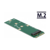 Delock Adapter mSATA zu M.2 Key B Slot