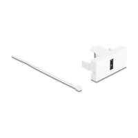 Delock Easy 45 Modul USB 2.0 Typ-A Buchse zu Terminalblock weiß