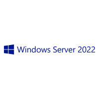 OEM Windows Server 2022 CAL 10 User