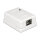 Netzwerk Anschlussdose 1 Port Cat.6