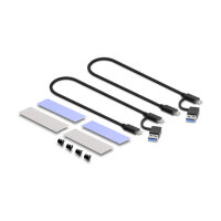 Externes USB Type-C™ Dual Combo Gehäuse für 2 x M.2 NVMe PCIe oder SATA SSD - werkzeugfrei