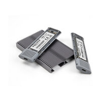 Externes USB Type-C™ Dual Combo Gehäuse für 2 x M.2 NVMe PCIe oder SATA SSD - werkzeugfrei