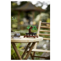 LEGO Creator Expert Bonsai Baum