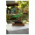 LEGO Creator Expert Bonsai Baum