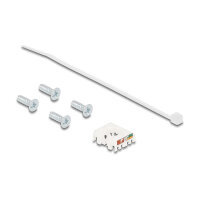 D-Typ RJ45 Einbaubuchse mit LSA Anschluss Cat.6A STP Metall