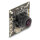 Analoges CVBS Kameramodul mit HDR 2,1 Megapixel 130° V8 Fixfokus