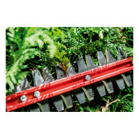 HS 18 LTX BL 65 solo Akku-Heckenschere