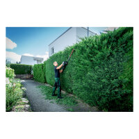 HS 18 LTX BL 65 solo Akku-Heckenschere
