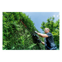 HS 18 LTX BL 65 solo Akku-Heckenschere